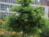 IMG_4879 (Small).JPG