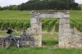 Biking among the vineyards south of Beaune on the Voie Verte.