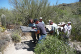 A second Organ Pipe