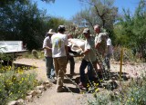 Arboretum Staff and Volunteers carrying a large cactus