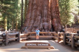  Shirley in front of General Sherman tree. The volume of its trunk makes this tree the biggest on earth. Sequoia National Park
