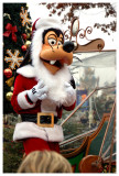 Disney0107.jpg