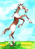 Mustang 4-11