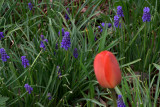 April 30, 2011