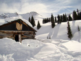 Abandoned Hut, Boston Mine, CO