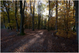 Onderste Bos