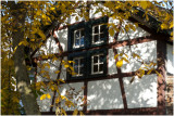 Boeienstraat in de herfst