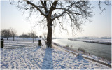 Winterse Maas