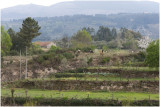 terrassen landschap