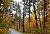 East entrance drive copy.jpg