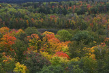 Fire Tower view in fall II copy.jpg