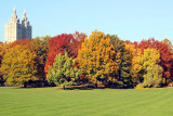 The Great Lawn, Central Park, NYC