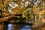 Bridge of Calm Waters