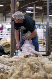rc-092011-0004-copy.jpg