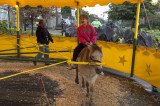rc-092011-0013-copy.jpg