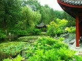 The chinese garden at Groningen