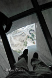 feeling dizzy ??? 342 m de haut...