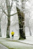 Spring Jog in Liberty Park