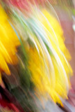 Capturing the Inner Spirit
