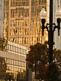 Afternoon Light on South Temple Street