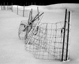 Fence in snow #5