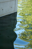 _DSC4058 Water Study 1 Cal Expo reduced.jpg