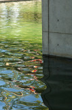 _DSC4062 Water study Cal Expo reduced.jpg