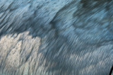 _DSC1382 Study 4 Surf Flow Monterey Bay Aquarium reduced.jpg