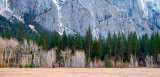 _DSC3184 Winter Meadow_Yosemite Valley, 2007, reduced.jpg