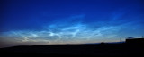 DSC_1585_edit1_crop1_web.jpg