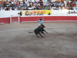  this banderillero got trampled right after stabing the banderillas