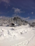 2012-03-31 10:19