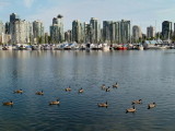 View from Stanley Park (3)