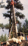 Thunderbird TMY-50 -1986 Delivery