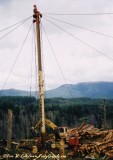 Thunderbird TY-90 at Nygaard Logging