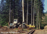 Skagit BU-94 at Lee Cook Logging