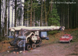 Skagit BU-80 at Paul Logging