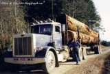 Skidder Salvage Side -Keith Belenski