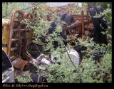 Trucks and Parts