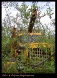 Peterbilt Off-Roader