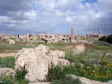 Ruins of Temple G