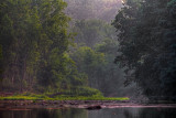 Misty Morn On Cazenovia Creek