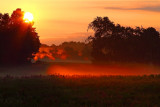 Morning Sunrise Baths The Field