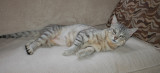 Tabitha DSC_1616.JPG