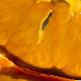 February # 14 : Juicy Orange