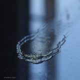february 17 : lemon juice reflection