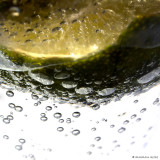 February 18: Drowning Lime