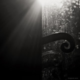 March 9 : Let the Sunshine in