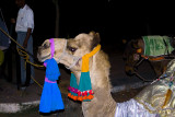 India 2011