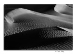 _DSC0333